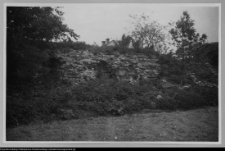 Wigry : zesp&oacute;ł klasztorno-kościelny