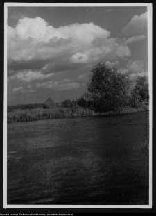 Wizna, widok na Narew