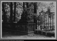 Białystok, Pałac Branickich, ogród - rzeźba Sfinksa