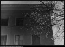 Białystok, Pałac Branickich