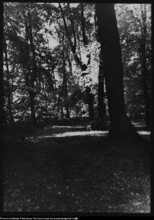 Białystok, park miejski