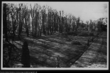 Białystok, Pałac Branickich, ogrody