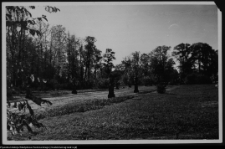 Białystok, Pałac Branickich, ogrody