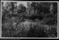 Białystok, park miejski