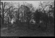 Białystok, park miejski