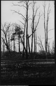 Białystok, park miejski