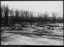 Białystok, Pałac Branickich, ogrody