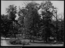 Białystok, Pałac Branickich, ogrody