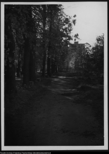 Białystok, Pałac Branickich, ogrody