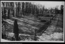 Białystok, Pałac Branickich, ogrody