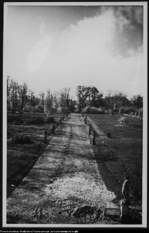 Białystok, Pałac Branickich, ogrody