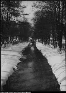 Białystok, Pałac Branickich, ogrody