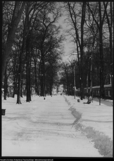 Białystok, Pałac Branickich, ogrody