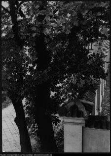 Białystok, Pałac Branickich, parkan otaczający park