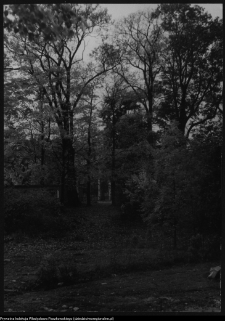 Białystok, Pałac Branickich, ogrody