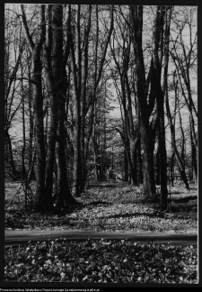 Białystok, Pałac Branickich, ogrody