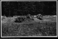 Białystok, Pałac Branickich, ogrody