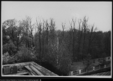 Białystok, otoczenie Pałacu Branickich