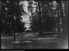 Białystok, Pałac Branickich, ogrody