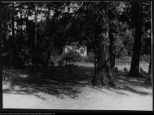 Białystok, Pałac Branickich, ogrody