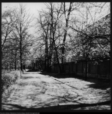 Białystok, Pałac Branickich, ogrody