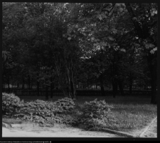 Białystok, Pałac Branickich, ogrody