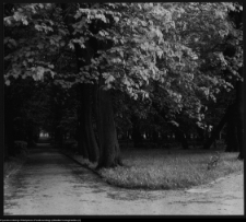 Białystok, Pałac Branickich, ogrody