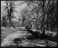 Białystok, park miejski