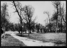 Białystok, Pałac Branickich, ogrody