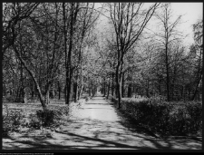 Białystok, park miejski