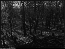 Białystok, Pałac Branickich, ogrody