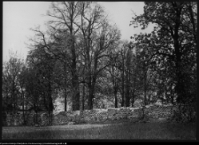 R&oacute;żanystok, ogr&oacute;d przy klasztorze