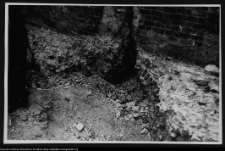 Mielnik, ruiny gotyckiego kościoła Świętej Trójcy