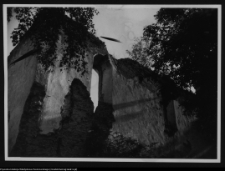 Mielnik, ruiny gotyckiego kościoła Świętej Trójcy