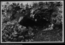 Mielnik, ruiny gotyckiego kościoła Świętej Trójcy