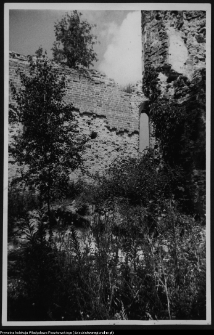 Mielnik, ruiny gotyckiego kościoła Świętej Tr&oacute;jcy