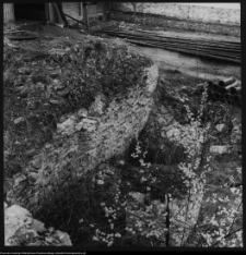 Wigry : zespół klasztorno-kościelny