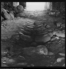 Wigry : zesp&oacute;ł klasztorno-kościelny