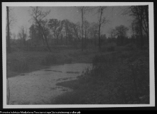 Białystok, Pałac Branickich, ogrody