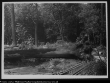 Białystok, Pałac Branickich, ogrody