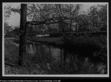 Białystok, Pałac Branickich, ogrody