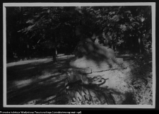 Białystok, Pałac Branickich, ogr&oacute;d - rzeźba Sfinksa