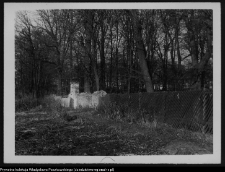 Białystok, Pałac Branickich, parkan otaczający park