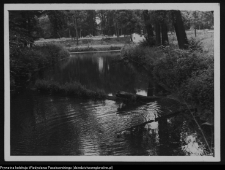 Białystok, Pałac Branickich, ogrody