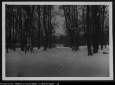 Białystok, Pałac Branickich, ogrody