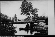 Obraz Złota jesień St. Witkowskiego