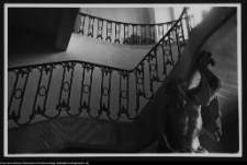 Białystok, Pałac Branickich