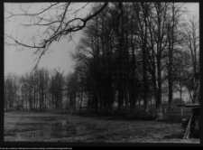 Strabla, park pałacowy