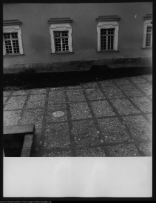 Białystok, Pałac Branickich