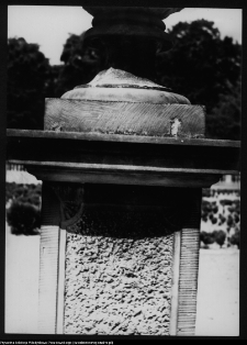 Białystok, Ogrody Branickich